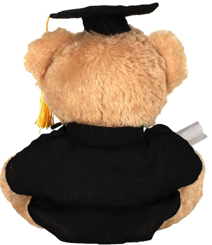 MUMBLES GRADUATION BEAR