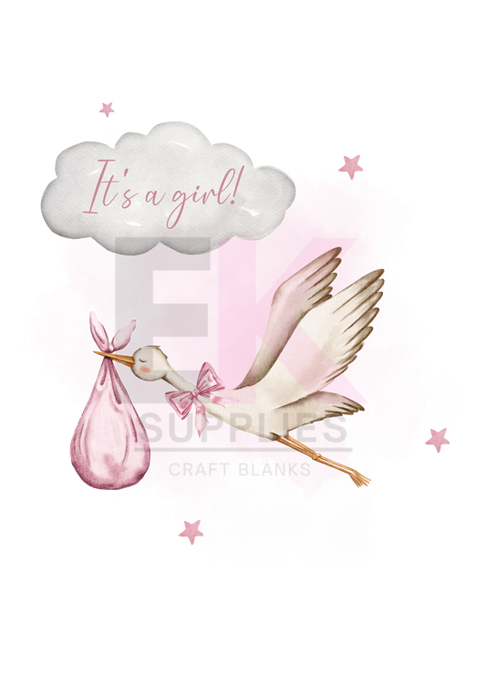 DIGITAL DOWNLOAD - ITS A GIRL (zc)