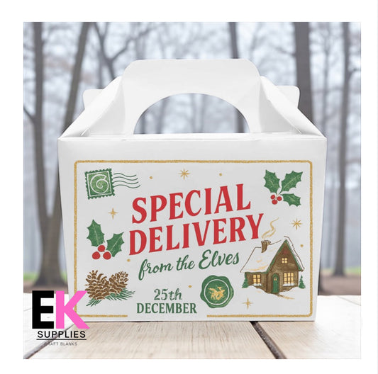 DIGITAL DOWNLOAD - SPECIAL ELF DELIVERY