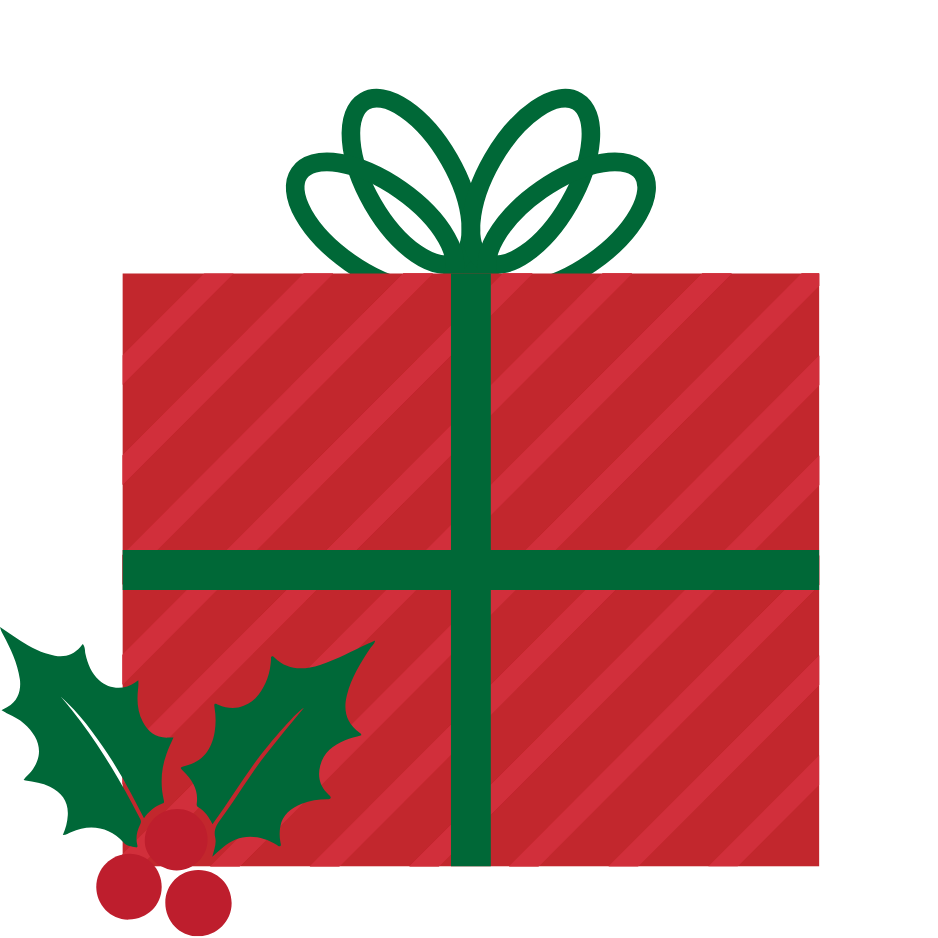 CHRISTMAS SURPRISE BOX
