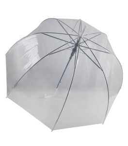 TRANSPARENT UMBRELLA