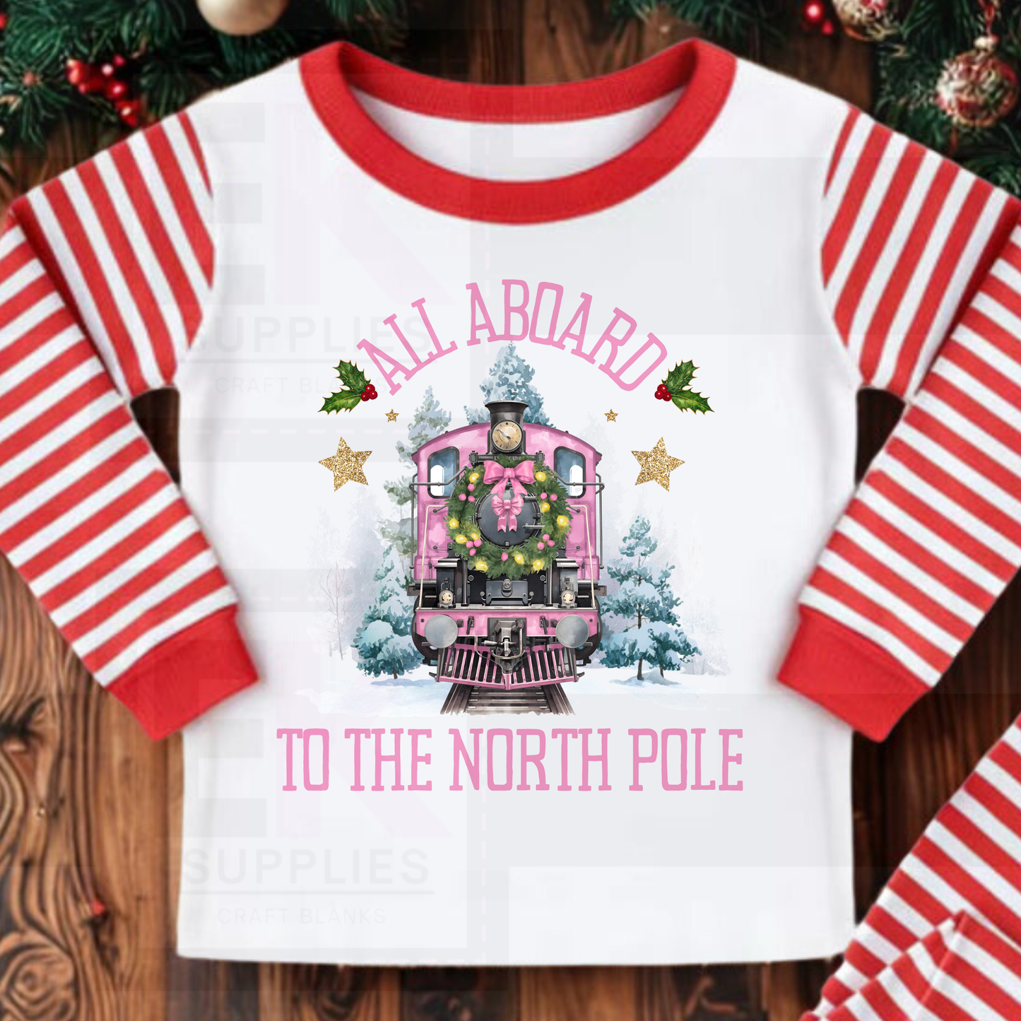 DIGITAL DOWNLOAD TRAIN BUNDLE (cc)