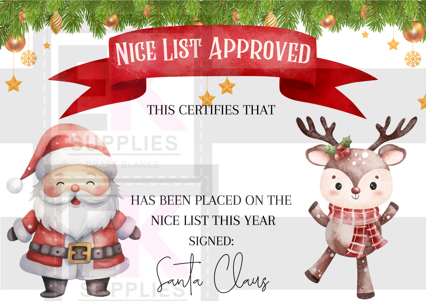 DIGITAL DOWNLOAD - NICE LIST