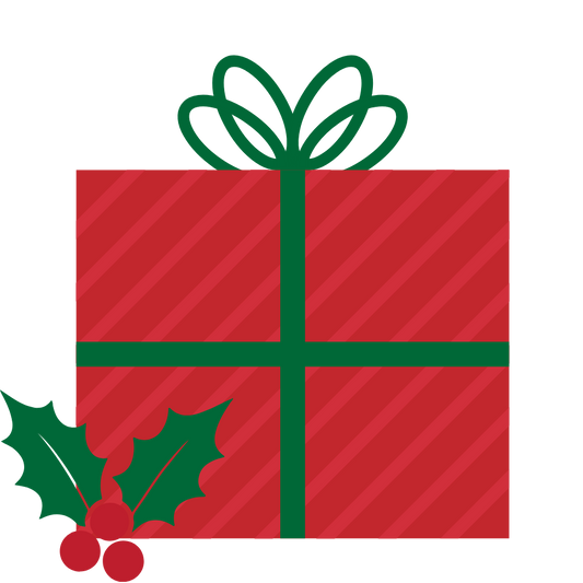 CHRISTMAS SURPRISE BOX